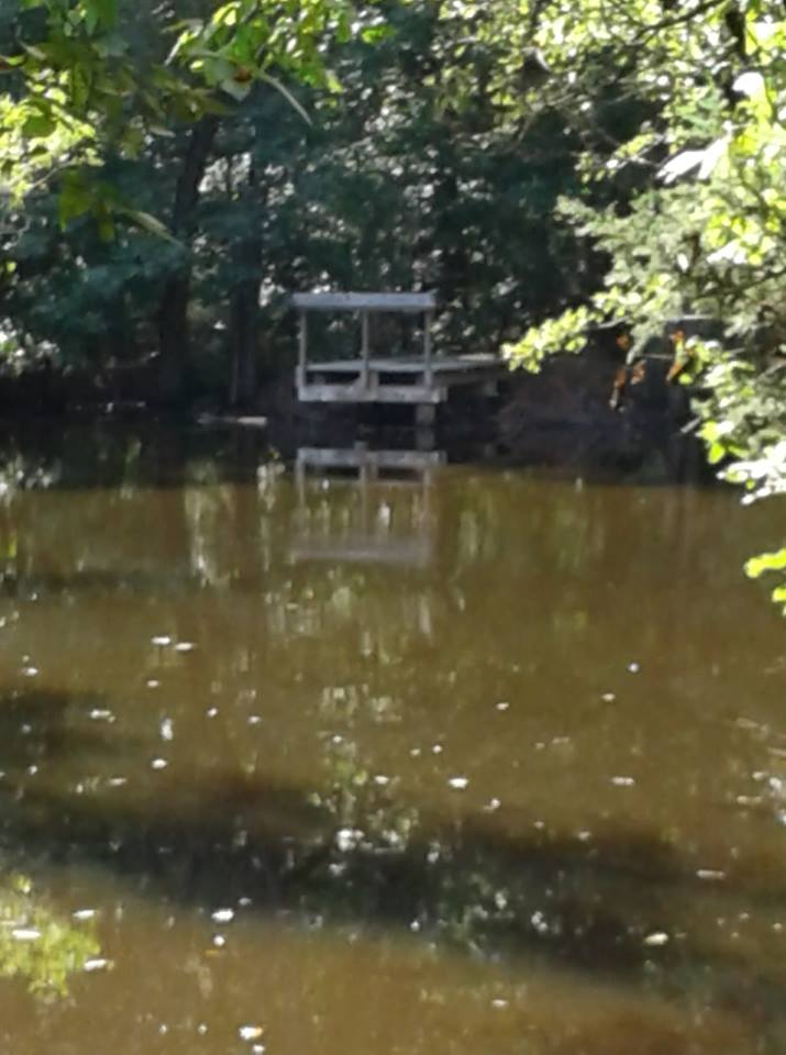 Attached picture pond 8.jpg